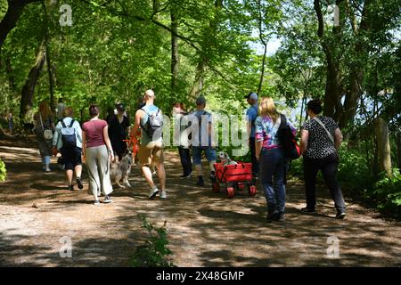 Berlin, Allemagne. 01 mai 2024. De nombreuses personnes traversent le Grunewald. Crédit : Paul Zinken/dpa/Alamy Live News Banque D'Images