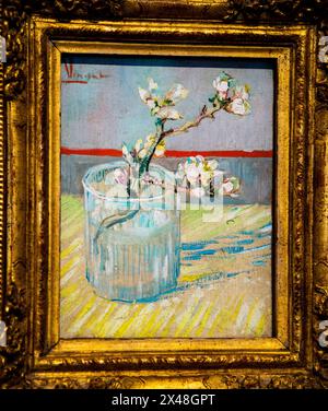 Printemps de floraison amande dans un verre au Musée Van Gogh à Amsterdam, pays-Bas. Banque D'Images