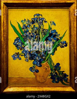 Iris dans un vase au musée Van Gogh à Amsterdam, pays-Bas. Banque D'Images