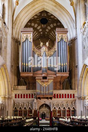 Stands d'orgue et de chœur de la cathédrale de Wells dans le Somerset Royaume-Uni Banque D'Images