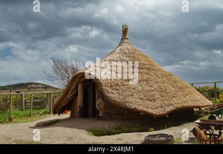 Extérieur d'une maison ronde de l'âge du fer avec toit de chaume conique en construction, Hengistbury Head, Royaume-Uni Banque D'Images