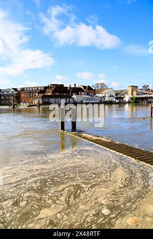 Eaux de crue de concombre à Marlow, sur la Tamise, Buckinghamshire, Angleterre Banque D'Images