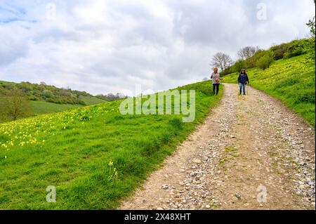 Deux femmes d'âge moyen marchant sur une route de gravier escarpée sur une colline herbeuse dans le parc national de South Downs près d'Amberley dans le West Sussex, en Angleterre. Banque D'Images