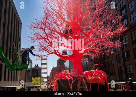 Les travailleurs maintiennent l’installation « Old Tree » de l’artiste Pamela Rosenkranz sur la High Line Spur à New York mardi. 23 avril 2024. La sculpture, ressemblant à des vaisseaux sanguins et à des organes humains, est exposée jusqu'en septembre 2024. (© Richard B. Levine) Banque D'Images