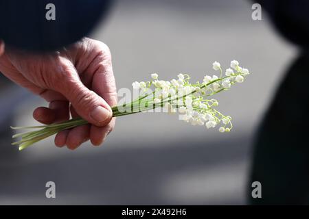 Strasbourg, France. 01 mai 2024. © PHOTOPQR/L'ALSACE/Jean-Marc LOOS ; Strasbourg ; 01/05/2024 ; un manifestant tient à la main un bouquet de muguet la manifestation du 1er mai à Strasbourg le 1er mai 2024. - Défilés traditionnels et manifestations dans les rues le 1er mai en France crédit : MAXPPP/Alamy Live News Banque D'Images