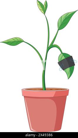 Une plante en pot Illustration de Vecteur