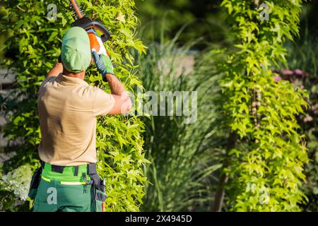 Jardinier caucasien dans ses années 40 façonner les arbres de jardin à l'aide d'un taille-haie sans fil Banque D'Images