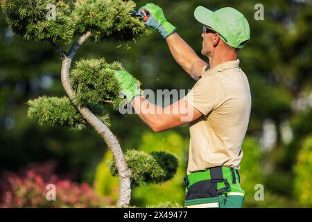 Jardinier professionnel façonnant des plantes de jardin à l'aide d'un petit coupe-herbe sans fil. Thème de l'industrie du jardinage. Banque D'Images