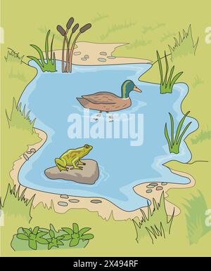 Canard nageant dans l'eau et grenouille assise sur un rocher Illustration de Vecteur