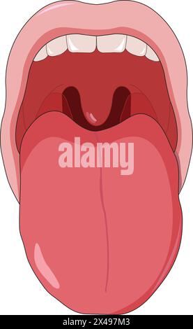 Illustration de la bouche montrant les dents et la langue Illustration de Vecteur