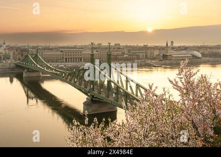 Pont de la liberté avec fleur d'amandiers à Budapest, Hongrie. Amandiers en fleurs et célèbre pont dont le nom hongrois est Szabadsag caché sur le backgro Banque D'Images