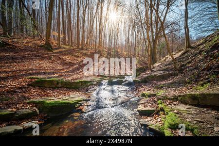 Sentier de randonnée de la gorge d'Obanya au début du printemps. Il y a une forêt où se trouvent un petit ruisseau avec de petites falaises et de petites cascades. Voici le skew wa Banque D'Images