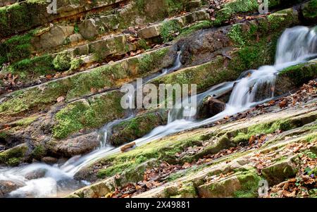 Sentier de randonnée de la gorge d'Obanya au début du printemps. Il y a une forêt où se trouvent un petit ruisseau avec de petites falaises et de petites cascades. Voici le skew wa Banque D'Images