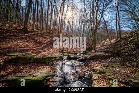 Sentier de randonnée de la gorge d'Obanya au début du printemps. Il y a une forêt où se trouvent un petit ruisseau avec de petites falaises et de petites cascades. Voici le skew wa Banque D'Images