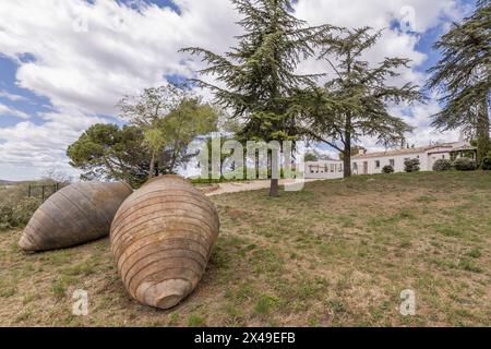 Deux grands pots en argile sur la parcelle d'une maison de campagne de style andalou avec des murs blancs, des chemins de gravier et une variété d'arbres Banque D'Images