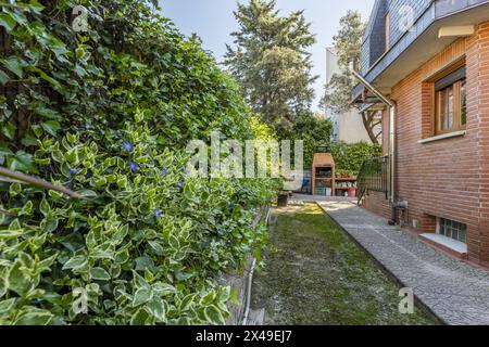 Jardin de périmètre avec un mur et une grande quantité de végétation avec un chemin carrelé autour d'une maison unifamiliale avec des façades en briques Banque D'Images