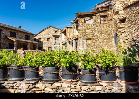 Pots avec des plantes vertes qui fleurissent au printemps dans les villages d'Espagne. Banque D'Images
