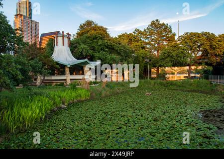 Un étang couvert de nénuphars dans un parc urbain, à Lady Bird Lake, à Austin Texas. Banque D'Images