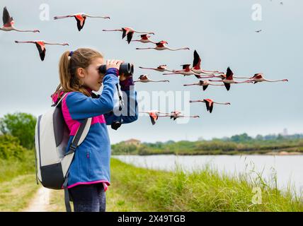 Flamants roses aperçus en vol Banque D'Images