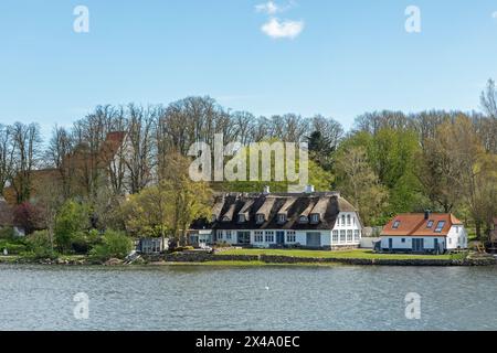 Église, maisons de chaume, arbres, Sieseby, Schlei, Schleswig-Holstein, Allemagne Banque D'Images