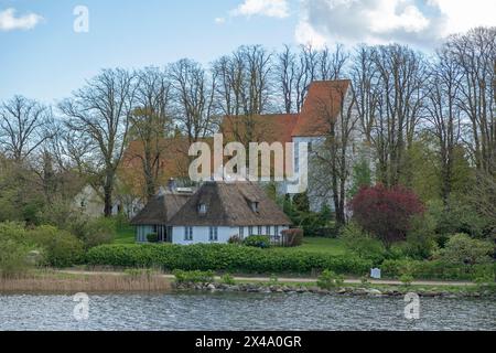 Église, maisons de chaume, arbres, Sieseby, Schlei, Schleswig-Holstein, Allemagne Banque D'Images