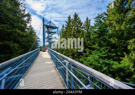 Vue sur le sentier et le sentier au sommet des arbres dans de beaux paysages de montagne - Skywalk in Alpes - destination voyage à Scheidegg, Bavière, Allemagne - Banque D'Images