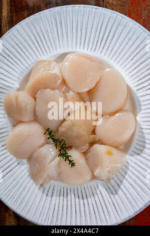 Atlantique Bay nettoyé coquilles Saint-Jacques coquilles préparées James sur assiette, prise du jour en Normandie ou en Bretagne, France Banque D'Images