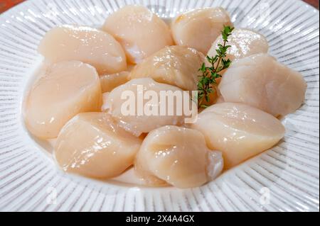 Atlantique Bay nettoyé coquilles Saint-Jacques coquilles préparées James sur assiette, prise du jour en Normandie ou en Bretagne, France Banque D'Images