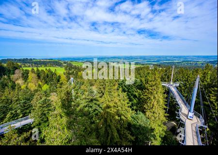 Vue sur le sentier et le sentier au sommet des arbres dans de beaux paysages de montagne - Skywalk in Alpes - destination voyage à Scheidegg, Bavière, Allemagne - Banque D'Images