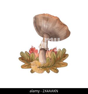 Champignon, mouche agarique, feuilles, branches, automne, chêne, forêt, illustrations à l'aquarelle dessinées à la main sur un fond blanc conviennent à l'impression Banque D'Images