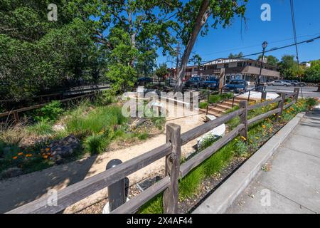 Le jardin pluvial Lafayette Banque D'Images