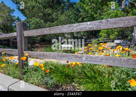 Le jardin pluvial Lafayette Banque D'Images