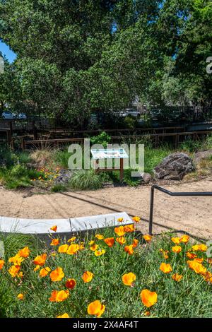 Le jardin pluvial Lafayette Banque D'Images