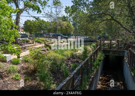 Le jardin pluvial Lafayette Banque D'Images