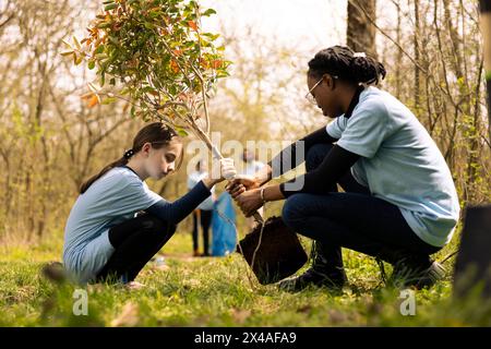 Petite enfant et sa collègue plantant un arbre dans la forêt, se portant volontaires pour participer à un projet de conservation. Deux filles qui prennent des mesures pour le reboisement, augmentent la végétation et restaurent la nature. Banque D'Images