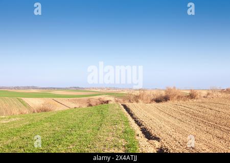 Image d'un champ labouré avec des sillons sur un après-midi ensoleillé avec un ciel bleu en serbie, dans deliblatska pescara, debout à côté d'un champ d'herbe Banque D'Images