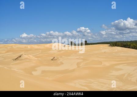 Grandes dunes de sable à Stockton Beach Banque D'Images