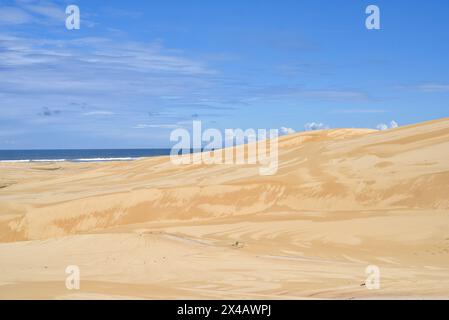 Grandes dunes de sable à Stockton Beach Banque D'Images