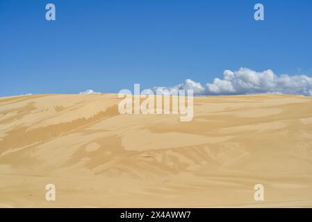 Grandes dunes de sable à Stockton Beach Banque D'Images