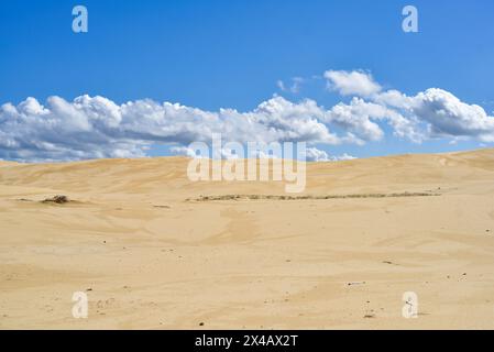 Grandes dunes de sable à Stockton Beach Banque D'Images