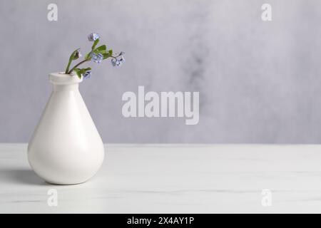 Belles fleurs oubliées dans un vase sur une table en marbre blanc. Espace pour le texte Banque D'Images