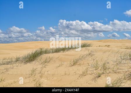 Grandes dunes de sable à Stockton Beach Banque D'Images