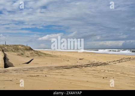 Grandes dunes de sable à Stockton Beach Banque D'Images