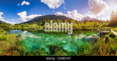 Magnifique vue sur la réserve naturelle de Zelenci en Slovénie. Réserve naturelle Zelenci, Krajnska Gora, Slovénie, Europe. Lac et forêt à Zelenci Springs, Kra Banque D'Images