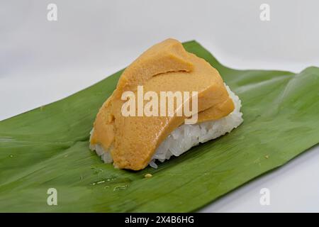 Khao niao sangkhaya ou riz collant avec crème anglaise à la noix de coco avec feuilles de banane, déballé, un délicieux dessert thaïlandais trouvé sur les stands de rue en bord de route Banque D'Images