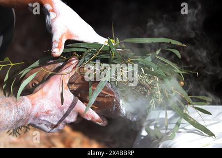 Feu rituel avec branche brûlante verte, fumée et feu, le rite rituel de la fumée lors d'un événement communautaire indigène en Australie Banque D'Images