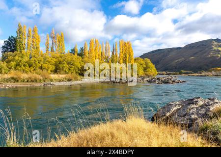 River Clyde en automne par State Highway 8, Beaumont, Otago, Nouvelle-Zélande Banque D'Images