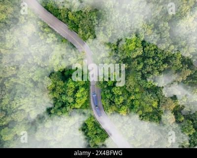 Vue aérienne d'un camion d'énergie hydrogène conduisant sur la route de l'autoroute dans la forêt verte. Transports durables. Camion bleu conduisant sur la route asphaltée dans la forêt Banque D'Images