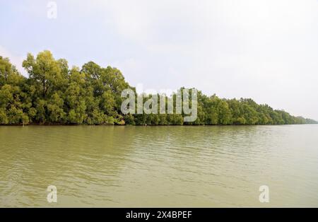 Une vue sur les Sundarbans. Le parc national des Sundarbans est une grande forêt côtière de mangroves, partagée par l'Inde et le Bangladesh. Banque D'Images