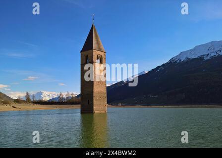 Graun im Vinschgau, Italien. Südtirol- und Italien-Urlauber kennen das Bild vom Reschensee, einem Bergsee, aus dem ein spitzer Kirchturm ragt. Es ist der Turm der Pfarrkirche : Katharina aus dem 14. Jahrhundert, die in den 50er Jahren mit dem Dorf Graun in den Fluten des Reschensees untergeging. Damals wurde ein Stausee gebaut, dem auch der Ort Reschen weichen musste. Foto : Kirchturm im Wasser bzw See *** Graun à Vinschgau, Italie Tyrol du Sud et Italie les vacanciers connaissent l'image du lac Reschen, un lac de montagne d'où s'élève une tour d'église pointue C'est la tour du XIVe siècle paris Banque D'Images